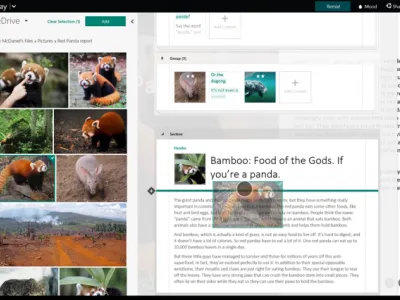Microsoft Sway