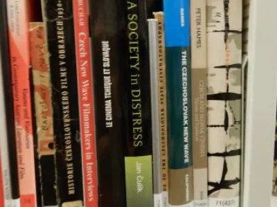 Narodní audiovizuální institut