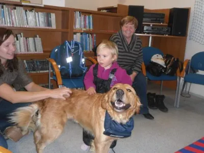 Fenka Zlatého retrívra Endy v knihovně