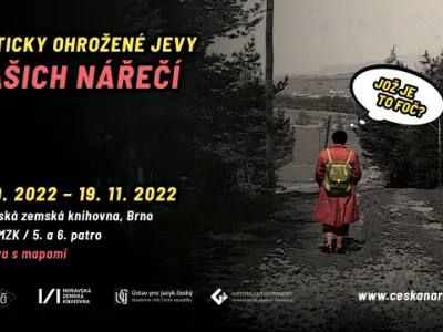 Kriticky ohrožené jevy našich nářečí