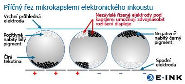 Příčný řez mikrokapslemi elektronického inkoustu